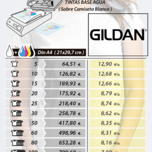 DTF64000LMB-PVP-SINIVA-2026 DTF64000LMB-PVP-SINIVA-2026